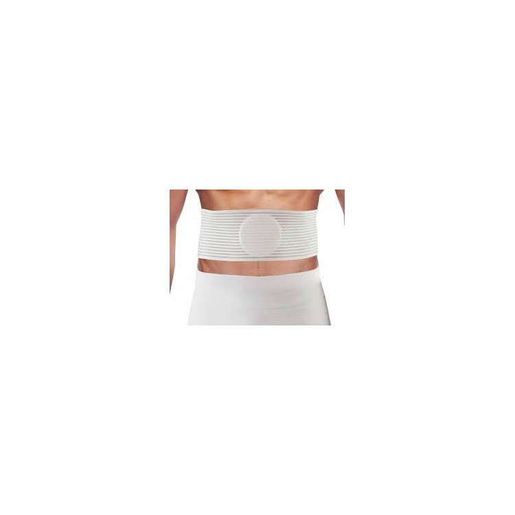 Scudotex  Cinto Ombelicale Bianco Salus Cm12 cod.686