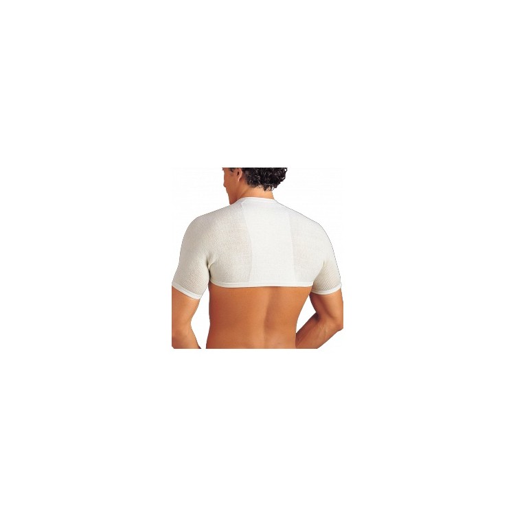 Gibaud Coprispalle Anatomico Gibaud Coprispalle Anatomico